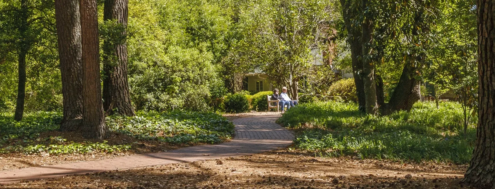 people on bench near sidewalk in woods